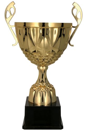 2196