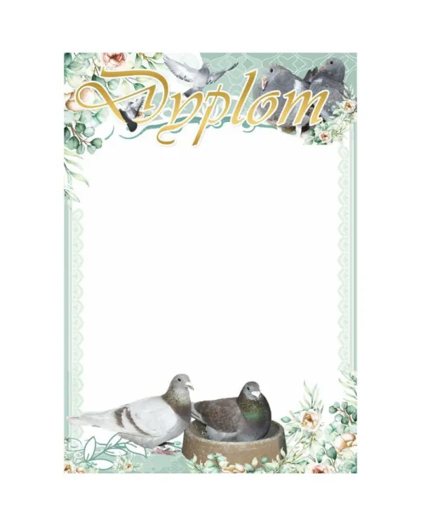 c3d85943e5377f65c706b8a9406db9d5
