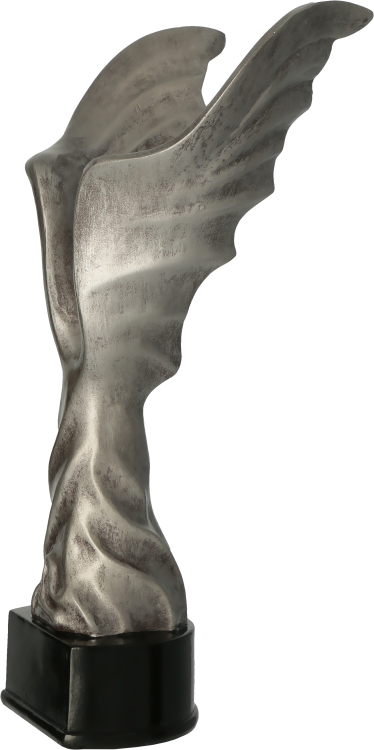 Statuetka z motywem skrzydeł anioła srebrna nagroda - RFST3030_S.png