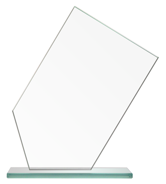 3009