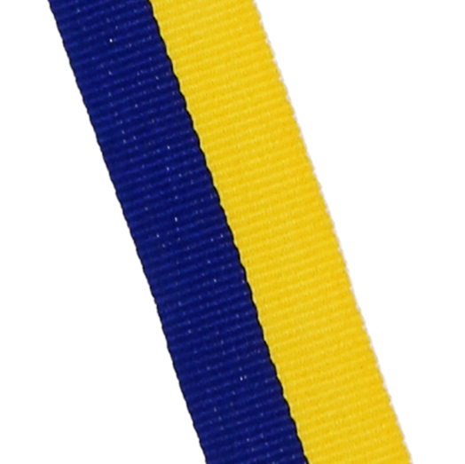 a701e97a5eceb564d1adfc7cb11d6a8a